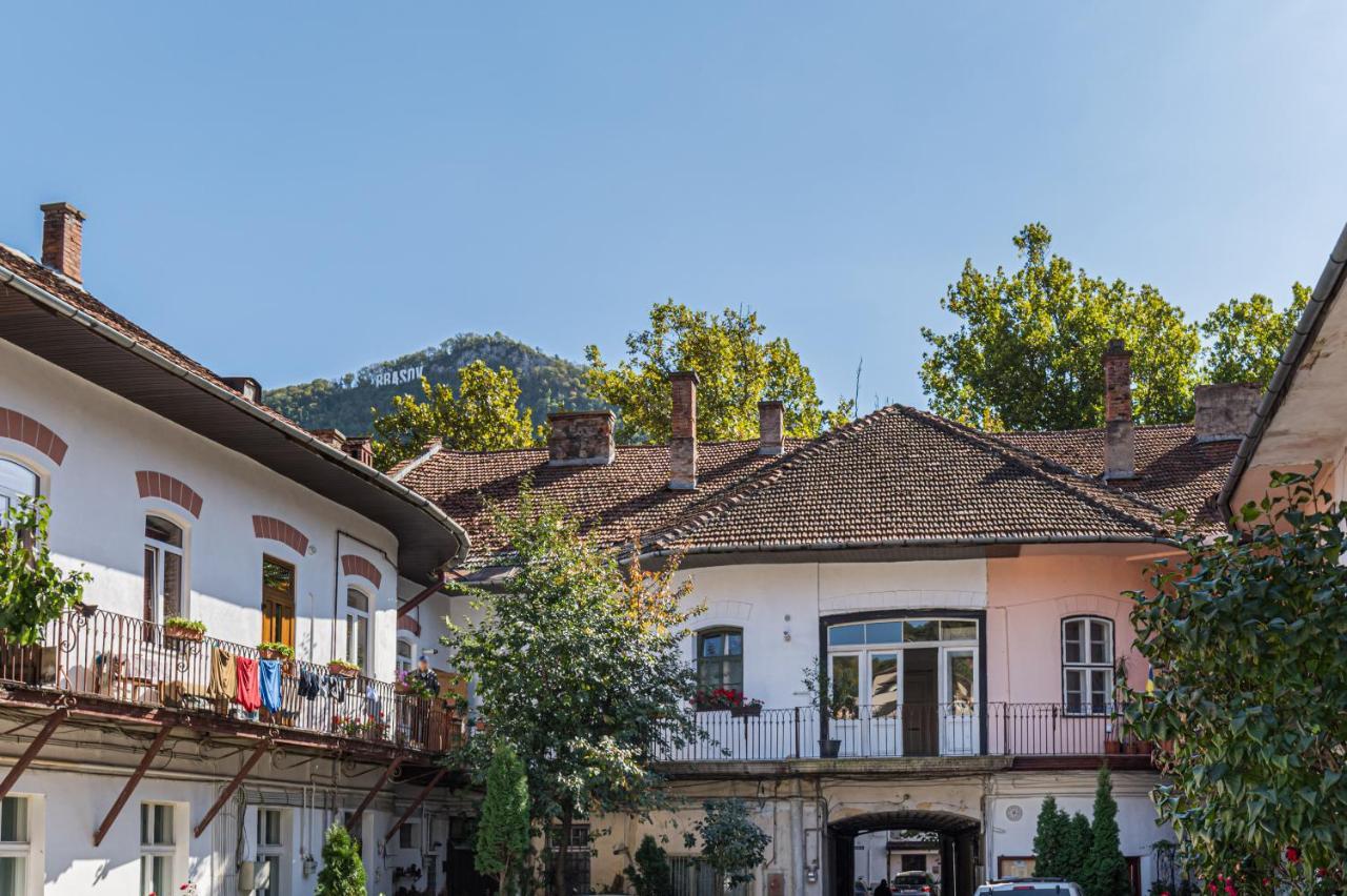 Zen Studio Brašov Exteriér fotografie